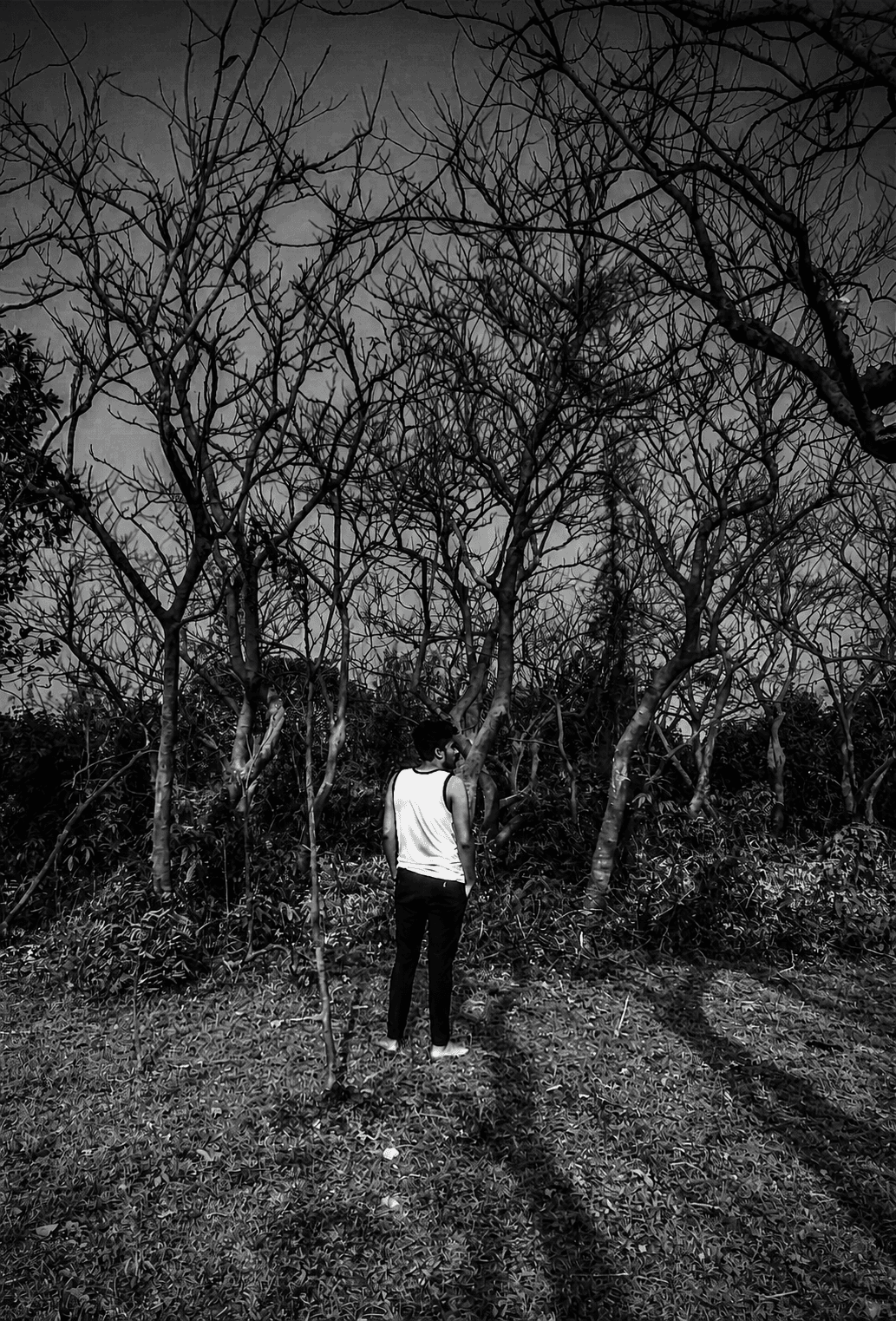 ARZ dream visual 03