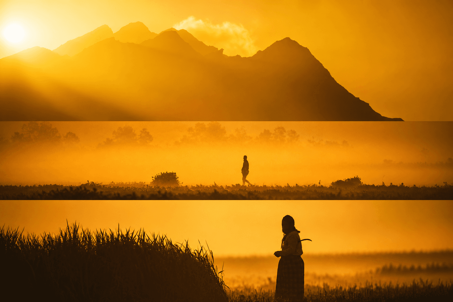 ARZ dream visual 07